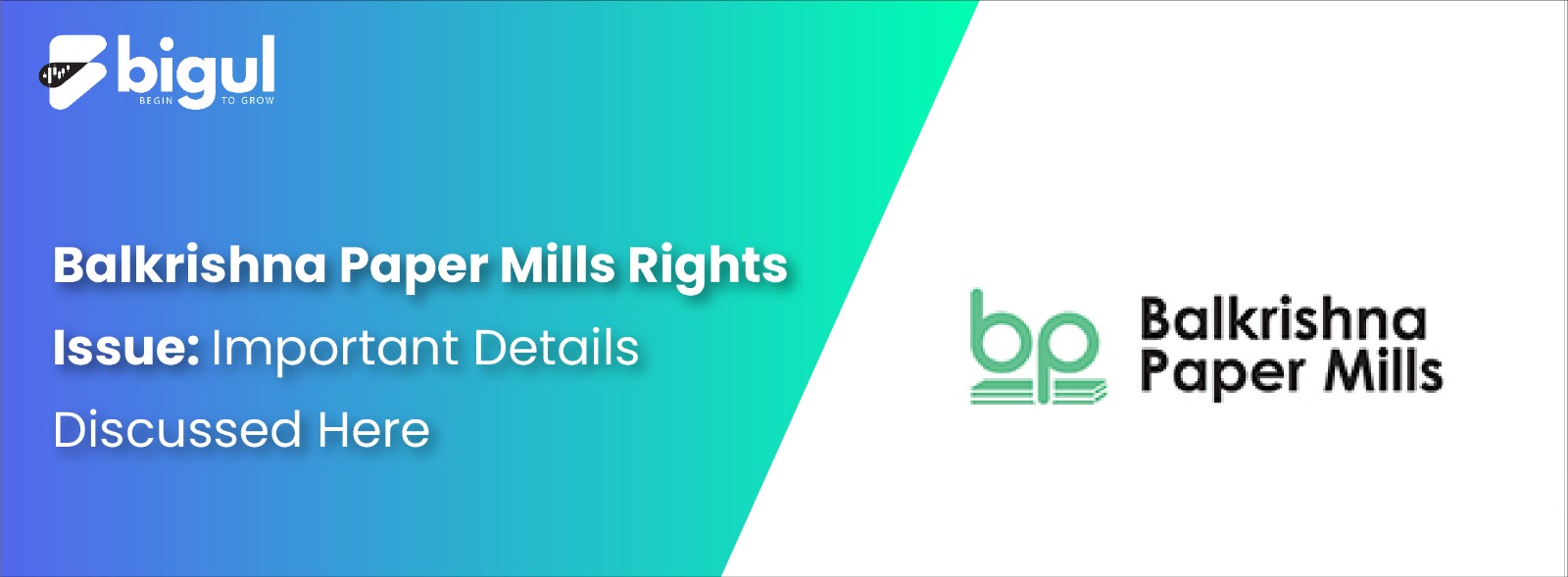 Balkrishna Paper Mills Rights Issue: Important Details Discussed Here